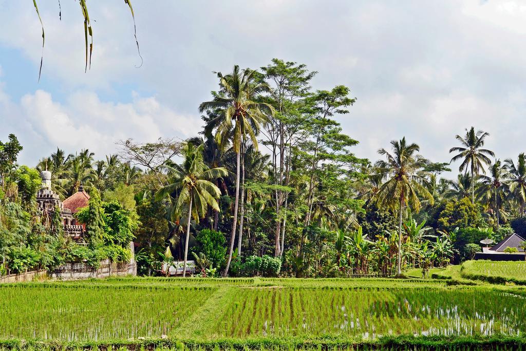 Ubud Kartini Hostel Ngoại thất bức ảnh