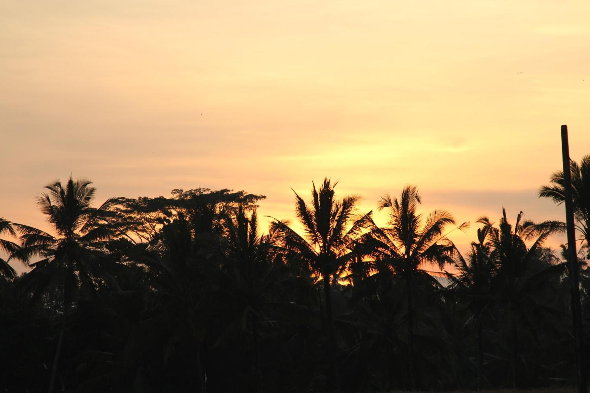 Ubud Kartini Hostel Ngoại thất bức ảnh