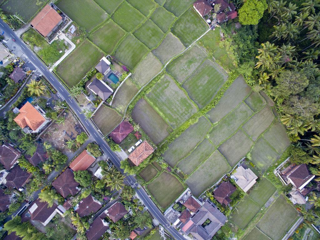 Ubud Kartini Hostel Ngoại thất bức ảnh
